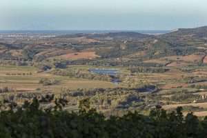 Nasce il Distretto Biologico di Montecucco: un nuovo modello di sostenibilità agricola per la Toscana