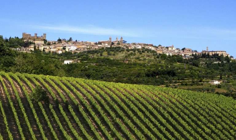 Vendemmia di Ottobre a Montalcino: un’annata di qualità e tradizione per il Brunello