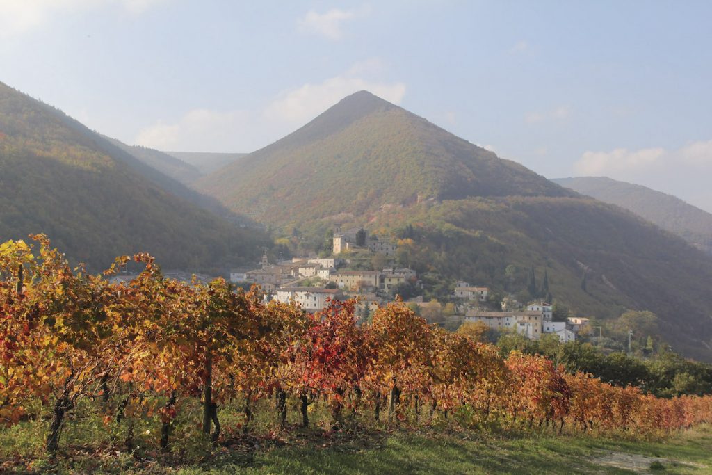 Appassimenti aperti, due domeniche per celebrare la Vernaccia Nera a Serrapetron