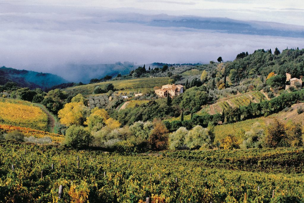 Nel cuore del Chianti Classico, Castellare di Castellina, dove nasce il super tuscan da record, è una proprietà di circa 80 ettari, di cui 33 vitati e 12 ad uliveto