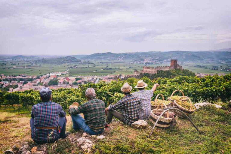 Soave: the second phase of the Identity Project begins to make the DOC more competitive