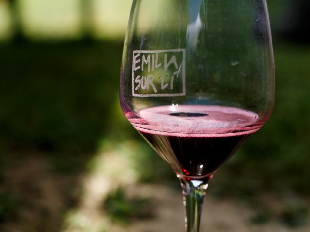 Weekend a Torino con i migliori vini rifermentati naturali emiliani