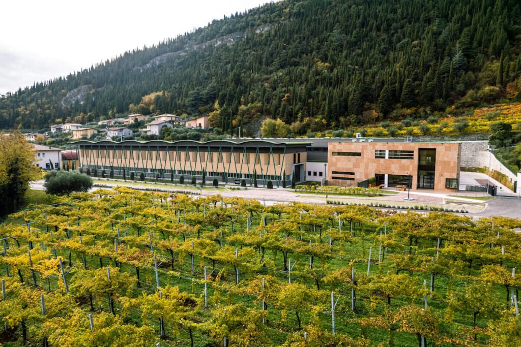 Un nuovo direttore generale per Gerardo Cesari dal 1° ottobre, cantina in Valpolicella del Gruppo Caviro: è l’ex Biondi Santi Giovanni Lai.