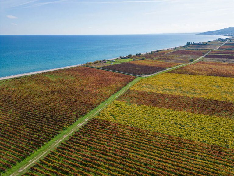 Cirò Classico becomes Calabria’s first DOCG: EU approval arrives