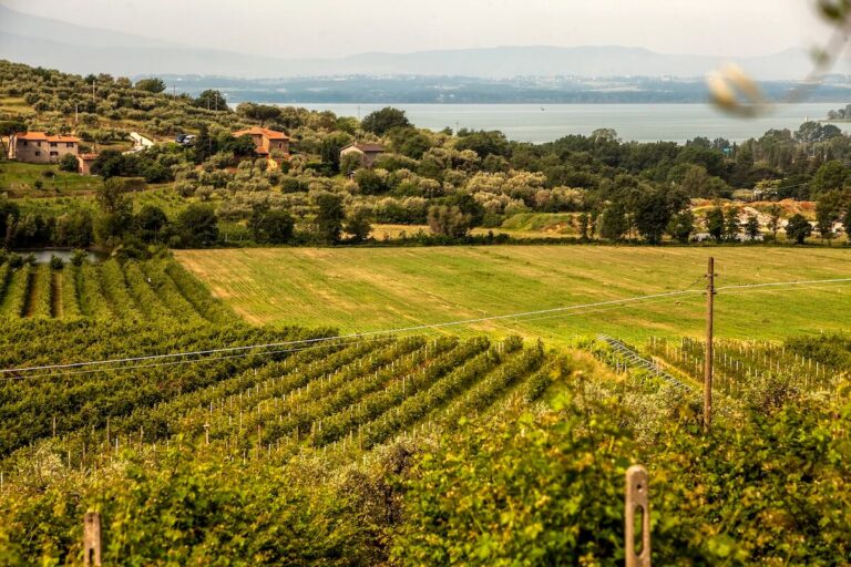 Umbria Top opens the 2026 trade fair season, promoting Umbrian wines under the theme “Umbria: Lifestyles and Vine Styles”