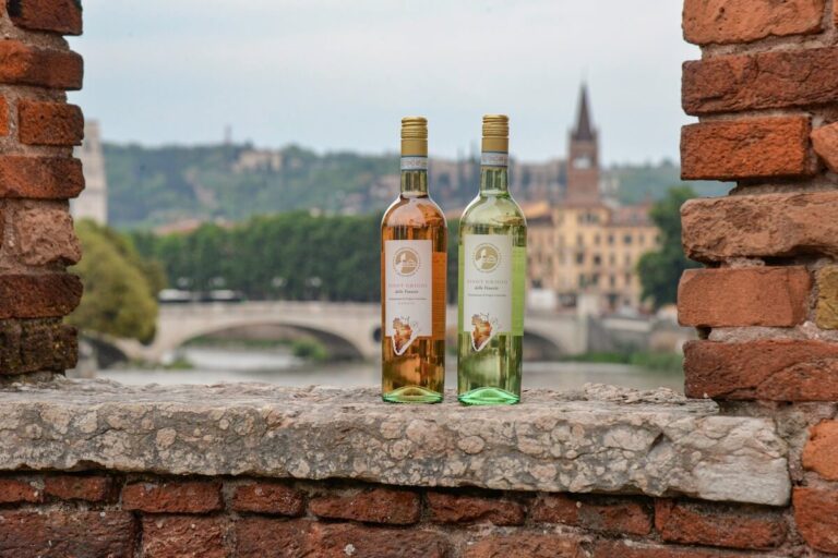 Pinot Grigio Doc Delle Venezie Named Official Wine of Vinitaly & The City 2026