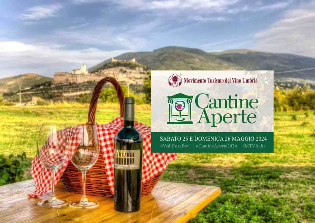 Cantine Aperte in Vendemmia: un viaggio sensoriale tra vigneti umbri, tradizioni e degustazioni