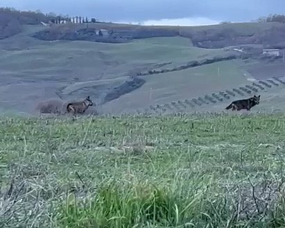 Tenute del Cerro presenta il nuovo sito web: viaggio digitale tra vino, territorio e esperienze enoturistiche