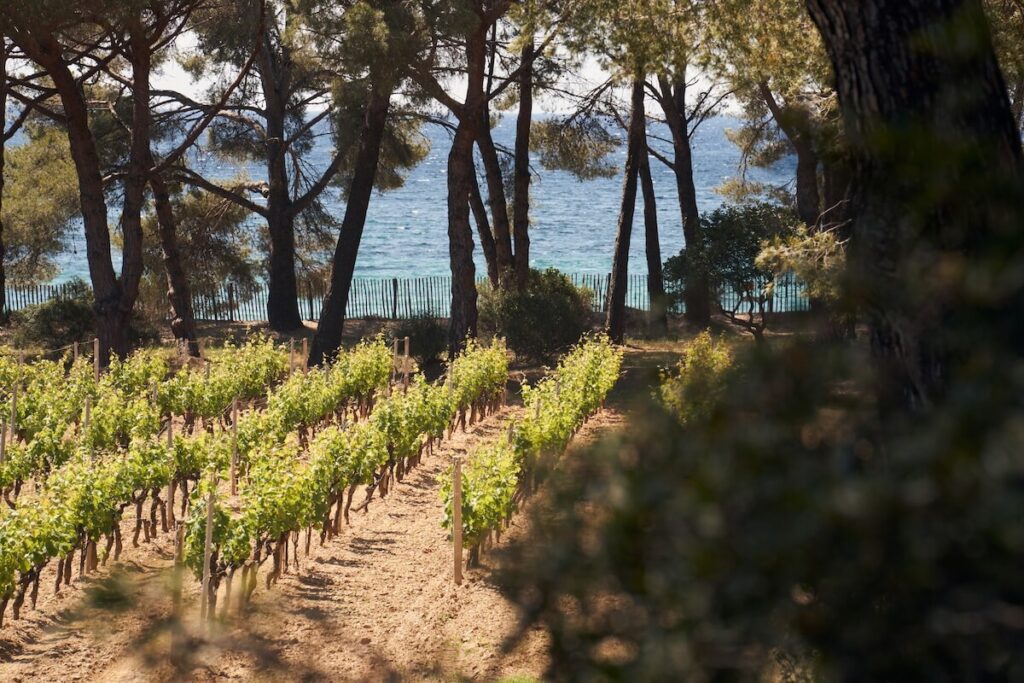 Le annate 2025 di Château de Selle, Clos Mireille, Château Romassan e By Ott*: 130 anni di Rosé Domaines Ott* e Provenza.