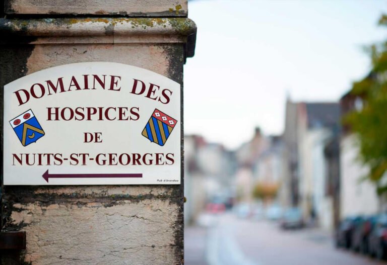 A New Chapter in the History of the Hospices de Nuits-Saint-Georges: Laurence Danel Appointed Estate General Manager
