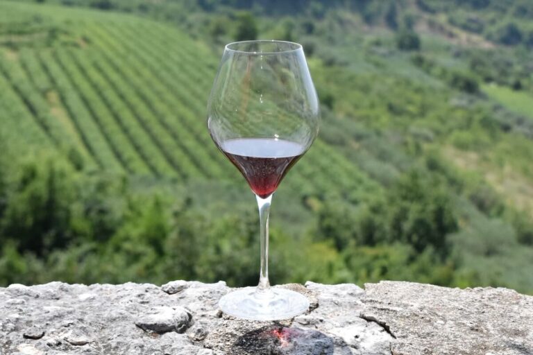 Amarone Opera Prima: the Valpolicella Wine Consortium kicks off 2026 between italian cuisine and the Olympics