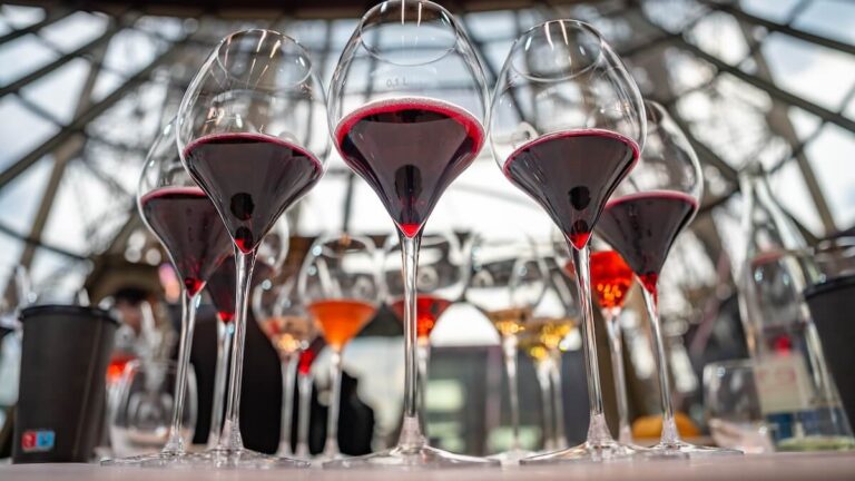 World Lambrusco Day: tasting on the “roof of Italy” on June 21st