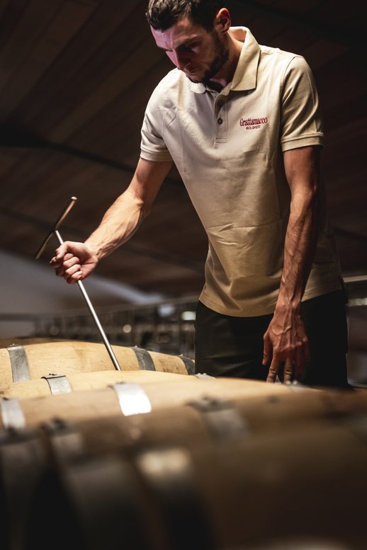 Grattamacco Bianco 2024 marks 40 years of Vermentino in Bolgheri, celebrating historic vineyards and a pioneering vision .