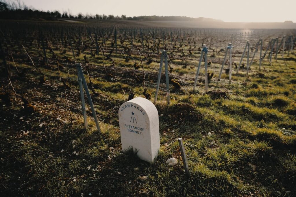 Agronomist Benjamin Courant is the new head of the Domaine Alexandre Bonnet vineyards: parcel identity at the heart of Les Riceys.