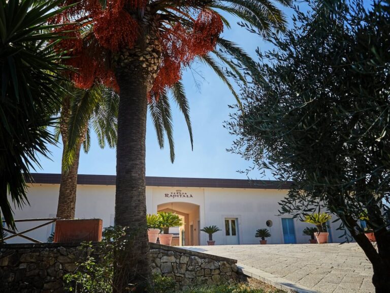 Tenute Rapitalà is now 100% owned by Gruppo Italiano Vini
