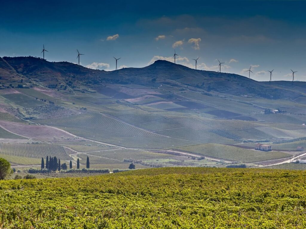 A new era for one of the symbols of Sicilian wine: an note issued by Gruppo Italiano Vini announces Tenute Rapitalà has been 100% acquired.