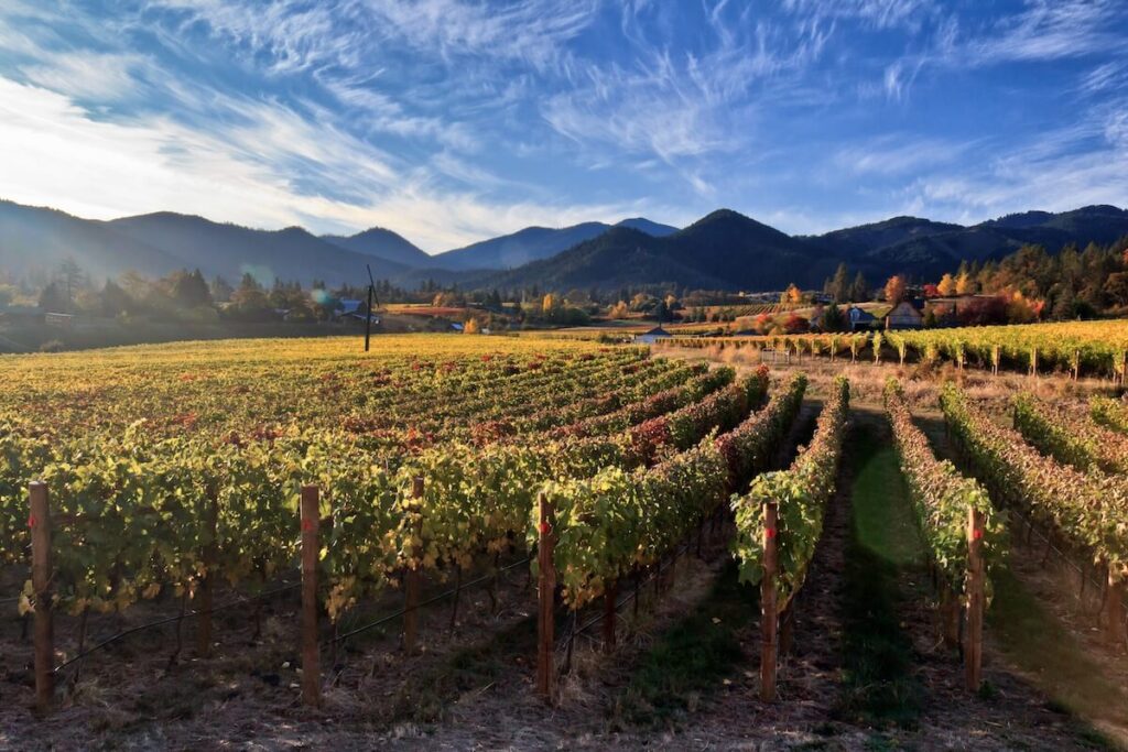 Savor Southern Oregon sponsored by the Coquille Indian Tribe: Inaugural Rogue Valley Wine Competition Winners are Announced