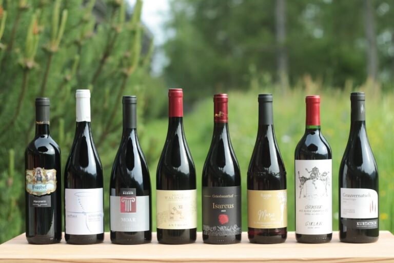 Schiava Trophy 2025: Which is the Vernatsch of the year?