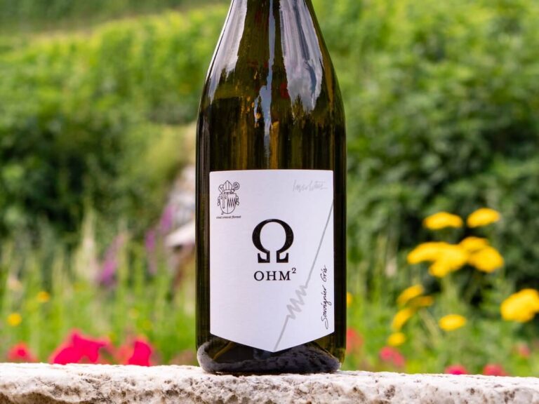 OHM2 Souvignier Gris arrives: new Piwi for the Insolitus Line of Abbazia di Novacella