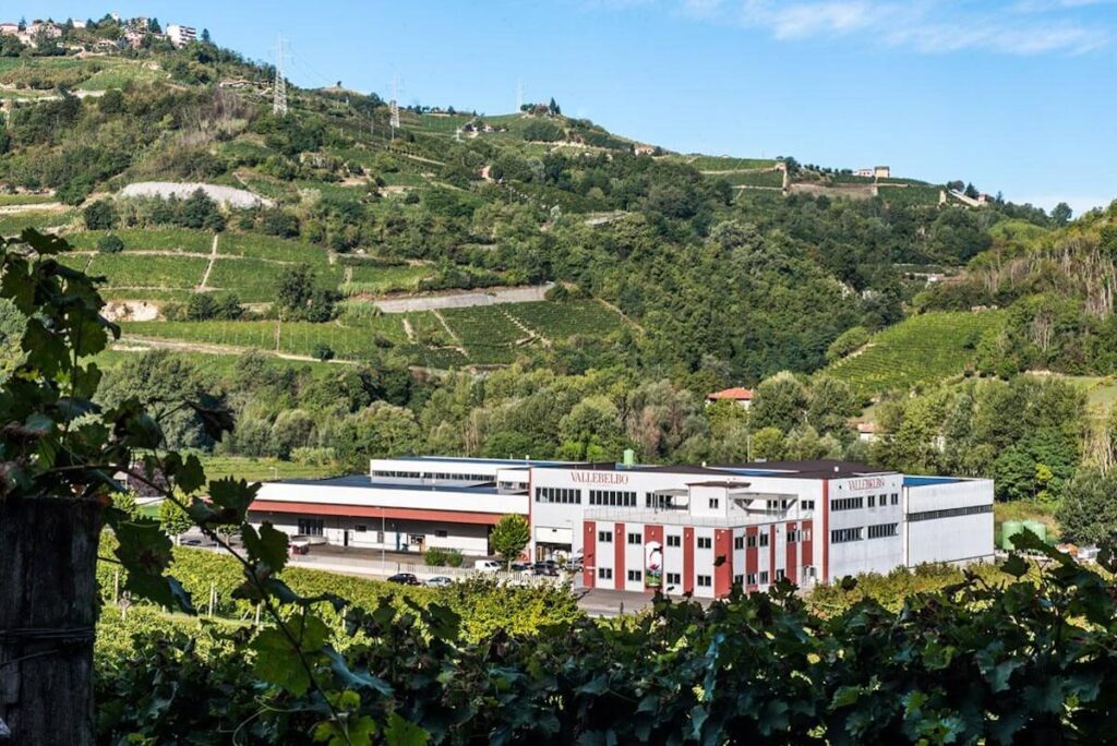 Veraison Group ends 2025 with +7% growth and launches three strategic moves across Sicily, Langhe and Valtellina.