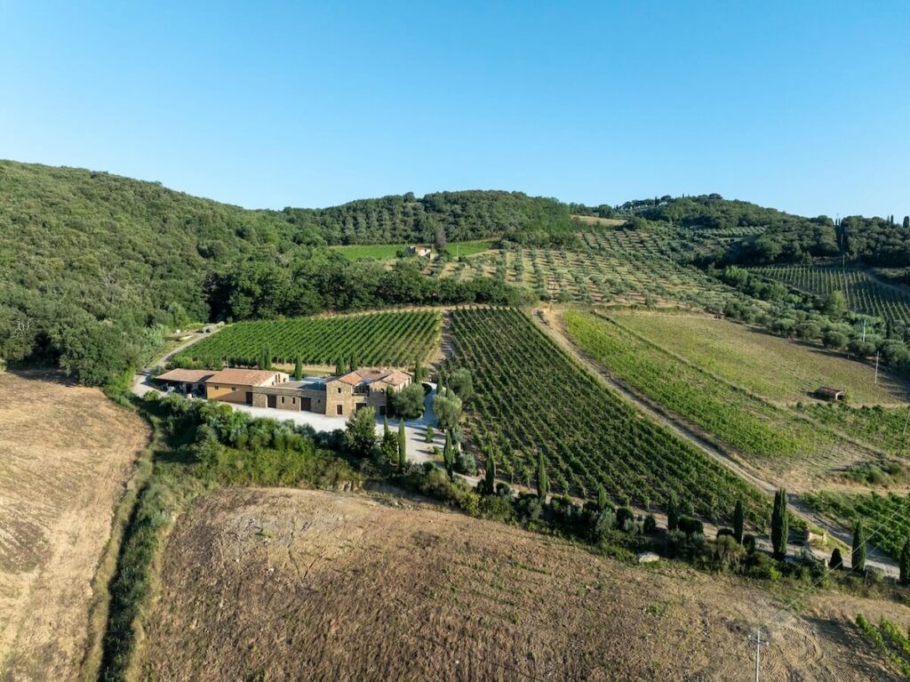 Famiglia Cecchi: Everything is ready for Aminta 's debut with the 2020 Brunello di Montalcino DOCG and the 2023 Rosso di Montalcino DOC