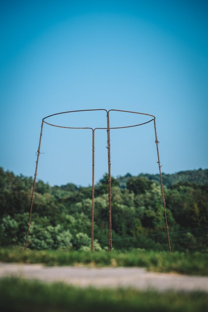 Ars Sine Finibus: Gradis'ciutta and Ferdinand join forces for a cross-border artistic project among the vineyards of Collio and Brda