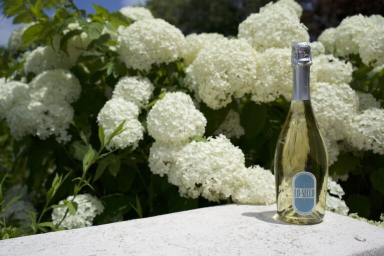 Lo Secco Prosecco DOC, Brut Nature: Zero-Sugar, Low-Carb, Vegan Sparkling Wine Launches in the US