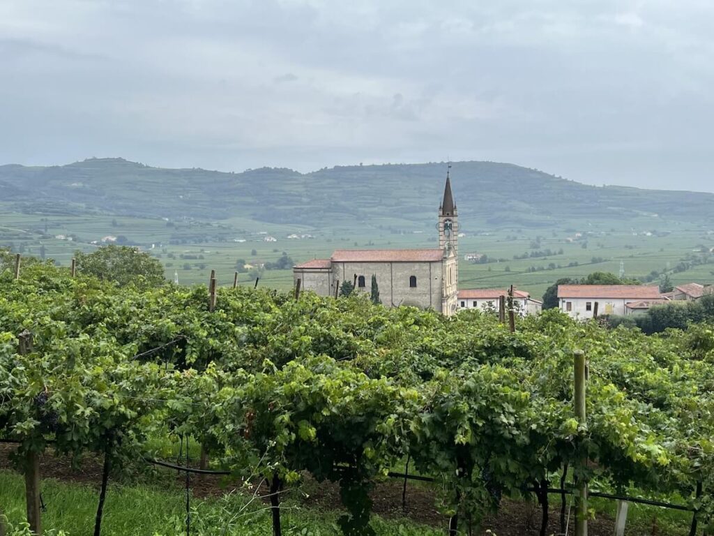 Appuntamento Soave 2025: the great white DOC of Veneto between history, geology, tastings and perspectives