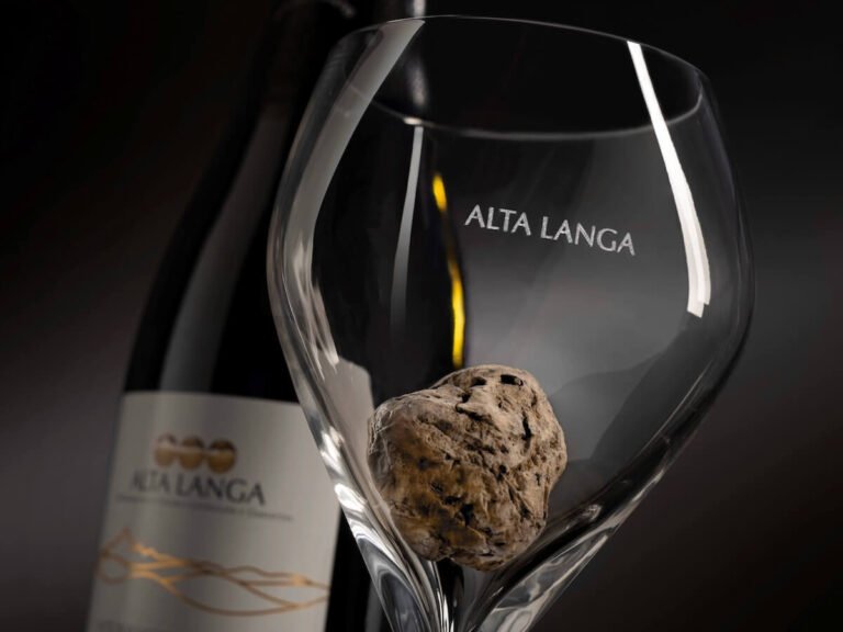 Alta Langa and Alba White Truffle: the marriage continues