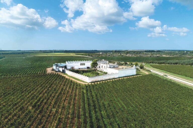 Tommasi Family Estates acquires property in Puglia: Masseria Surani project expands