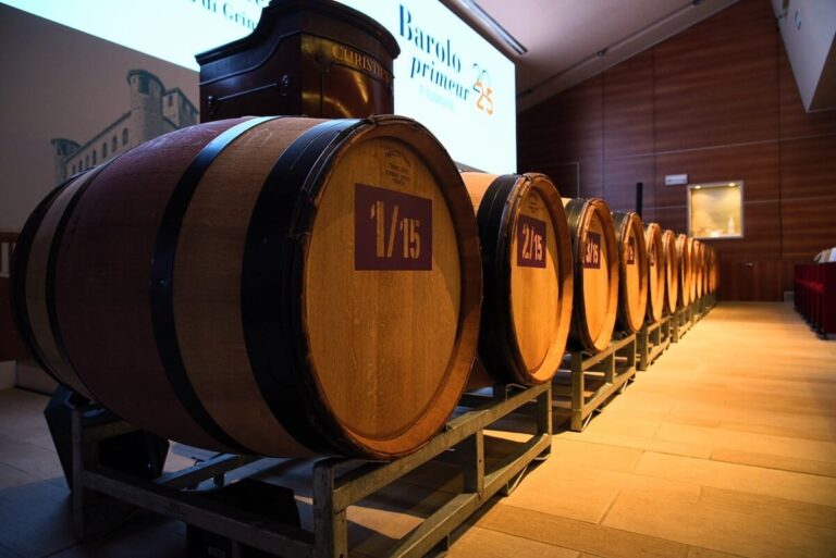 Barolo en Primeur 2025 Sets Record: Over €1.1 Million Raised at Italy’s Most Generous Wine Auction
