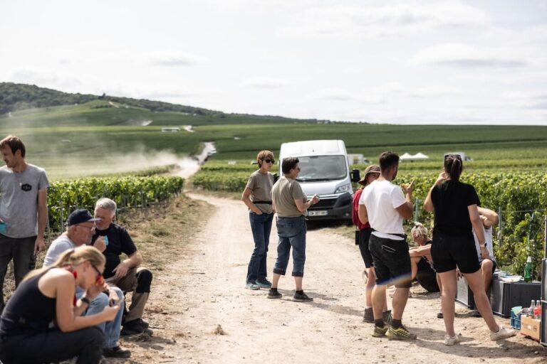 Champagne Harvest 2026: Average Potential Alcohol Levels Surge as Cru-by-Cru Harvest Dates Are Confirmed