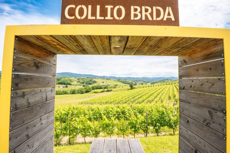 Friulano: The Most Authentic Voice of Collio