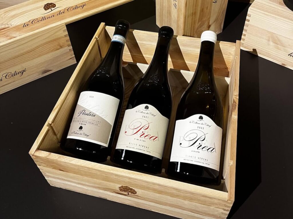 La Collina dei Ciliegi and the New Frontier of the “Supervalpantena”: The Prea Project Turns Red with Prea Rosso Verona IGT 2021