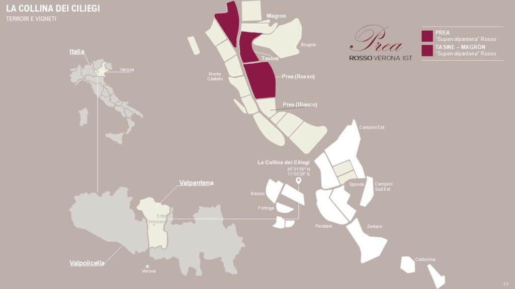 La Collina dei Ciliegi and the New Frontier of the “Supervalpantena”: The Prea Project Turns Red with Prea Rosso Verona IGT 2021