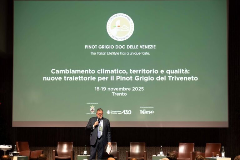 DOC Delle Venezie in Comparison: New Trajectories for Pinot Grigio Between Climate Change and Research