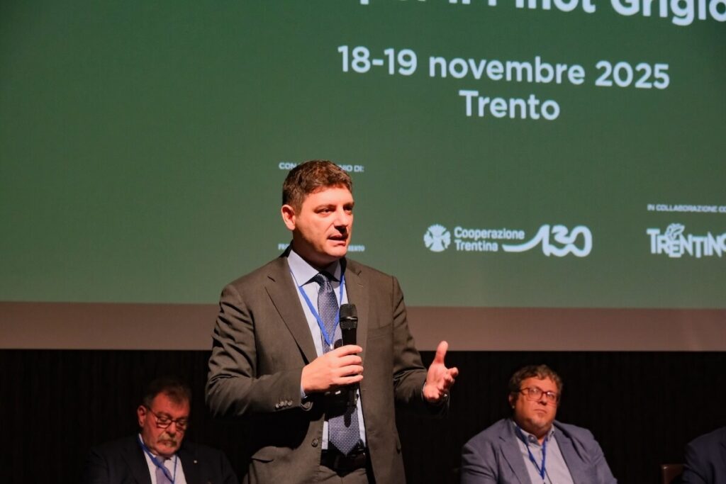 DOC Delle Venezie in comparison: new trajectories for Pinot Grigio between climate change, research and the future of the territories.
