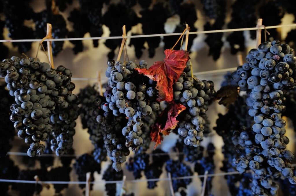 Il 9 e 16 novembre torna Appassimenti Aperti a Serrapetrona: due giornate di vino, visite alle cantine e spettacoli alla Vernaccia Nera.