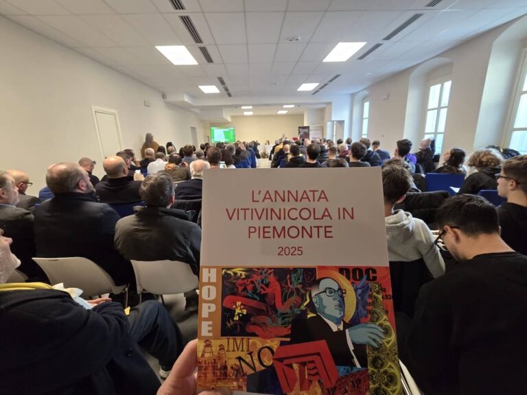 Piemonte Harvest 2025: High Quality, Lower Production, and New Market Strategies