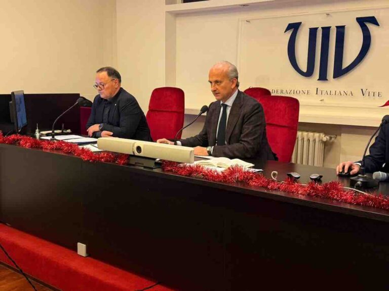 UIV Takes a Comprehensive Approach on U.S. Market, Tariffs, Third-Country Promotions, and Dealcoholized Wine Decree