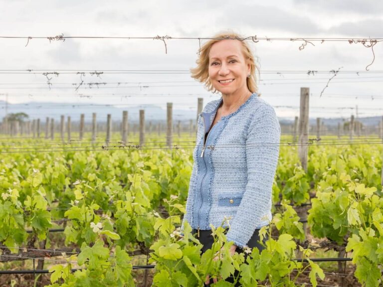 The Marilisa Allegrini Group reflects on a pivotal 2025 and outlines its 2026 goals across Valpolicella, Bolgheri and Montalcino.