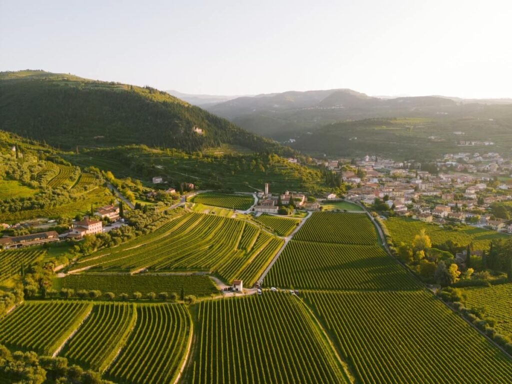 Marilisa Allegrini: “In 2026, Wine world where global dynamics are shifting at unprecedented speed Is Called to Evolve and Renew Itself”