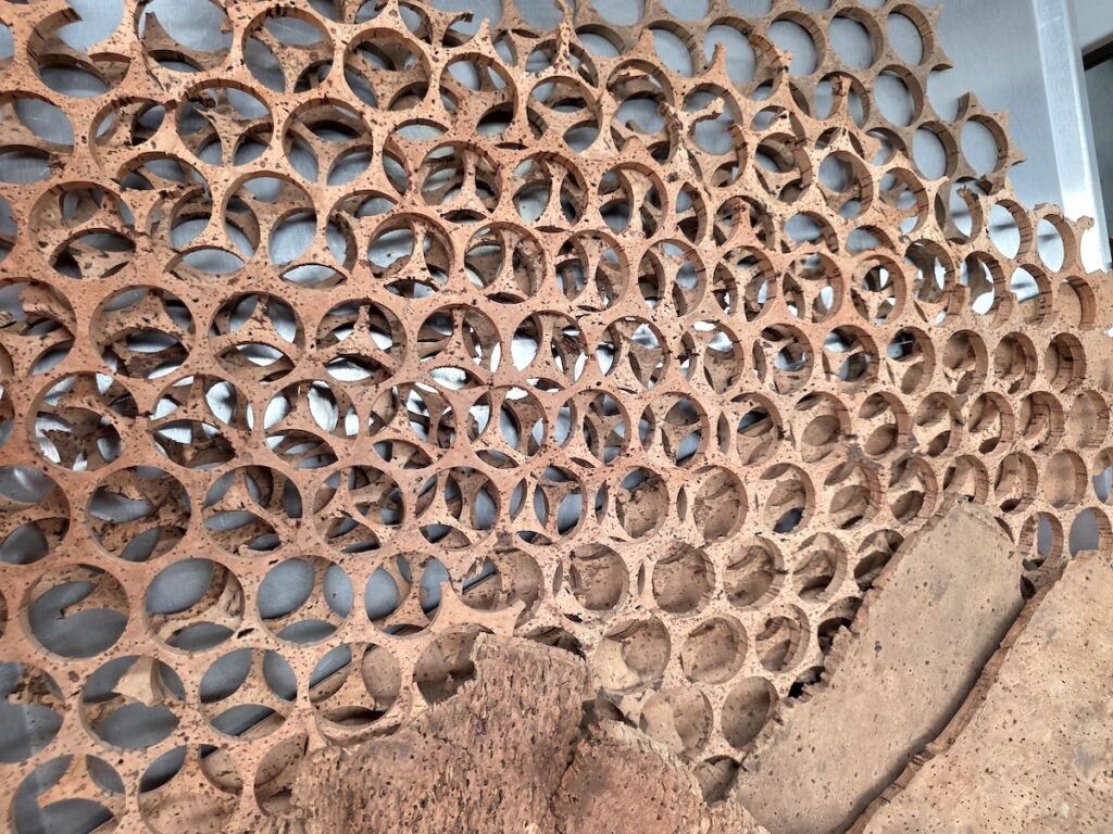 Amorim supplies cork materials for NASA’s Artemis II mission: thermal protection, research and sustainability, tradition and innovation.