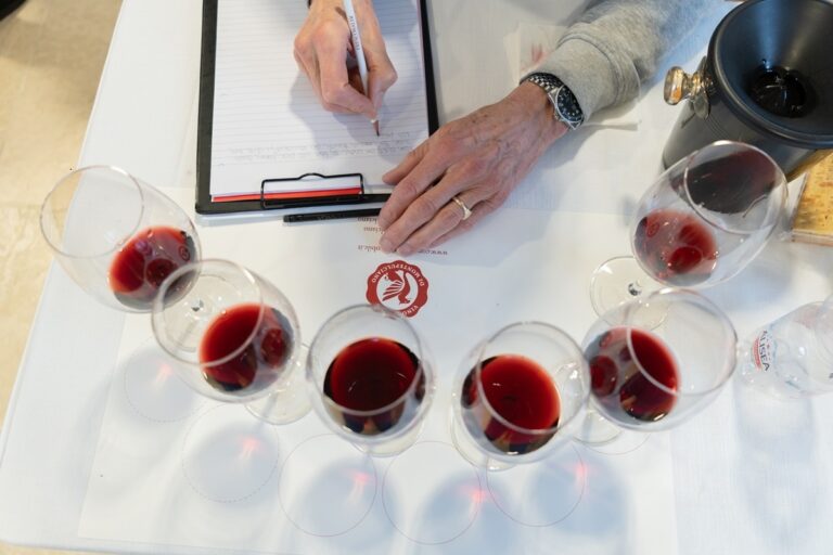 Vino Nobile 2023 premiato con 4,5 stelle. Studio Santa Chiara Lab: turismo, famiglie e sostenibilità guidano Montepulciano.