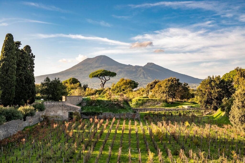 Pompei, an archaeological vineyard is born: between archaeology and sustainability, organic wine in the Park with Feudi di San Gregorio.