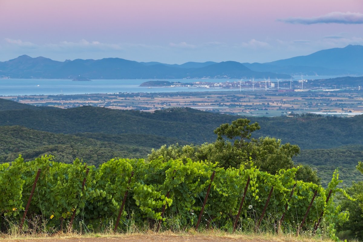 Montebamboli is Petra’s new high‑altitude project on the Tuscan Coast, expressing a fresh Mediterranean identity.