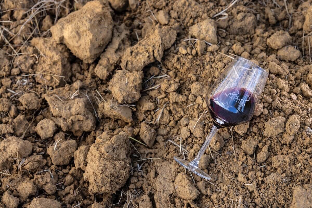 The new Morellino di Scansano Superiore Docg is now official, adding a defined style between Annata and Riserva.