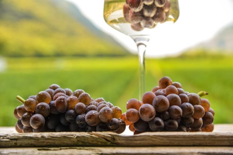 Consorzio Doc Delle Venezie brings the topic of natural low‑alcohol wines back to the forefront at the Ugivi conference.