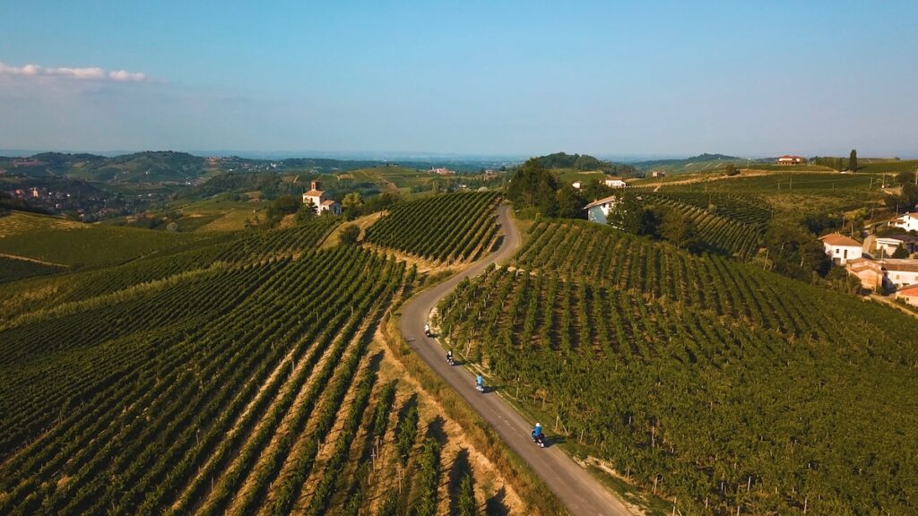Al Teatro Ariston di Acqui Terme i tre Consorzi del Monferrato presentano un progetto condiviso per sviluppo, territorio e competitività.
