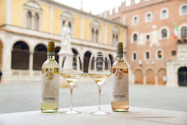 Pinot Grigio Doc delle Venezie: 2026 between global markets and the Giro d’Italia after the international stages from Wine Paris to Vinitaly